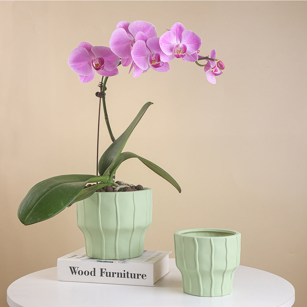 Elegant Planter for Beautiful Indoor Plant Displays