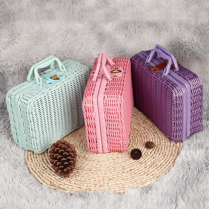 Chic Woven Storage Handbag Kalsten