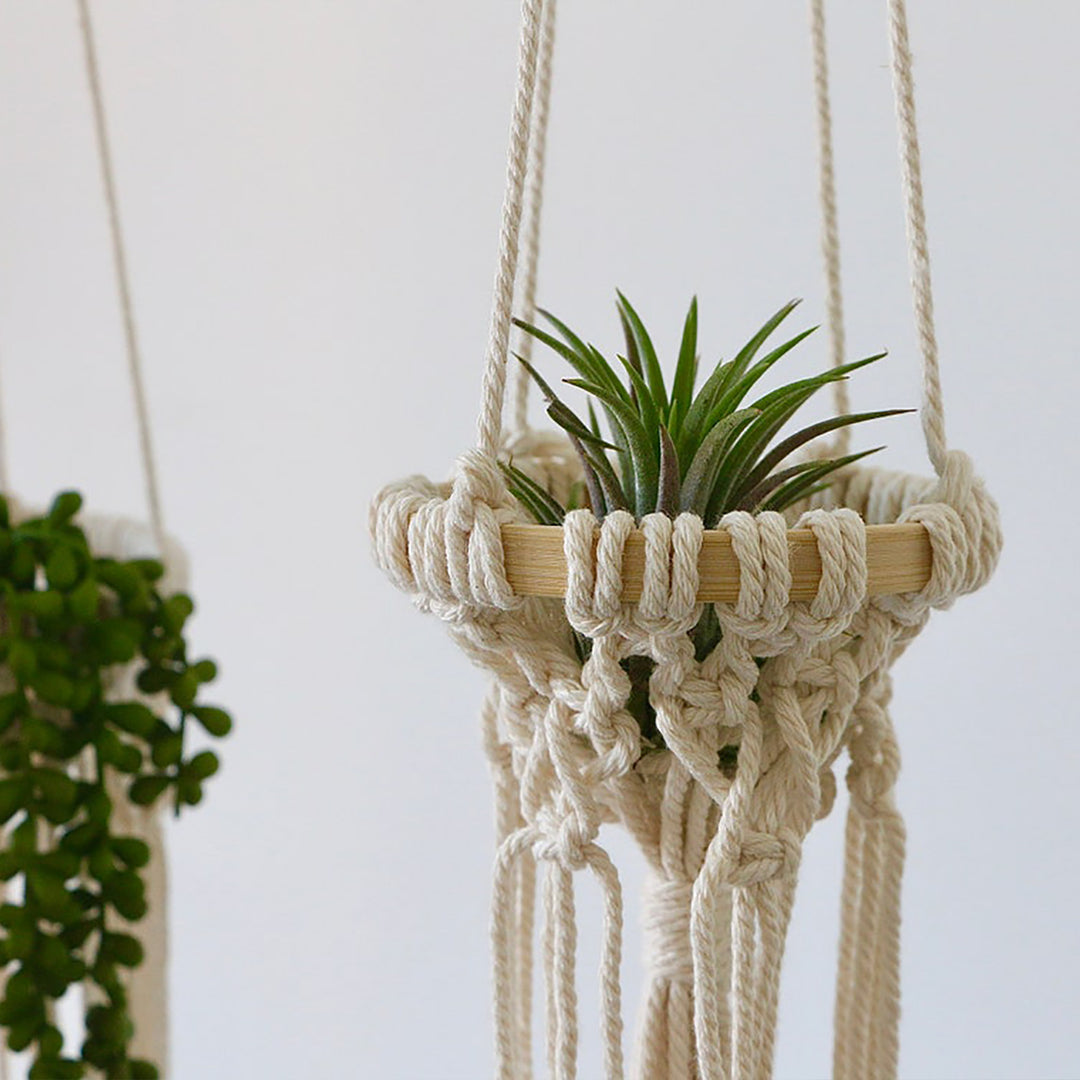 Exquisite Macrame Hanging Planter Kalsten