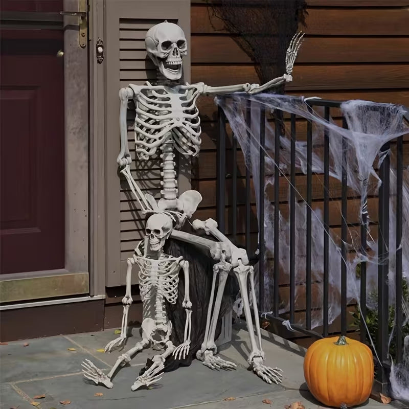 Anatomical skeleton model