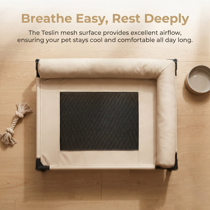Elevated Airflow Dog Bed