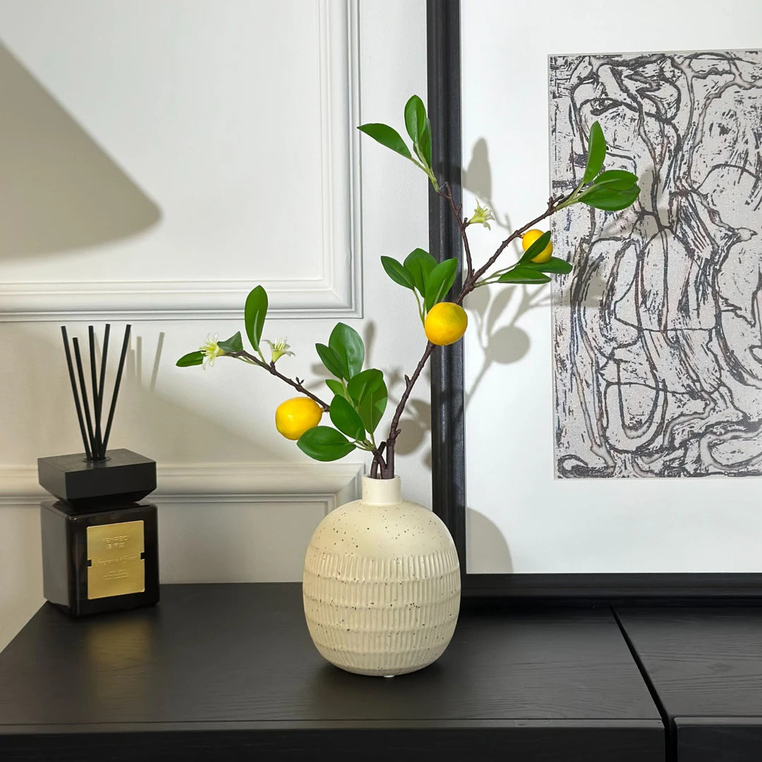 Decorative Vase for Indoor Home Display