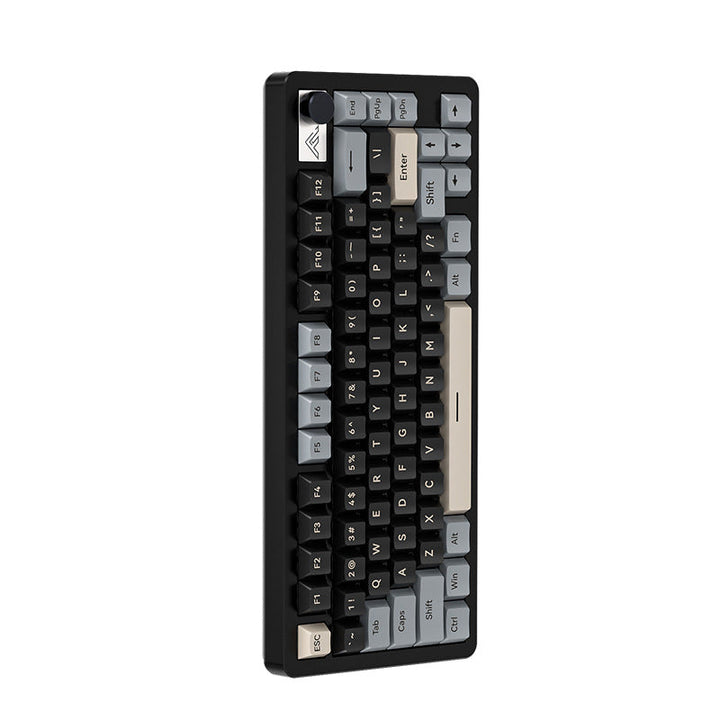 Compact Ergonomic Mechanical Keyboard Kalsten