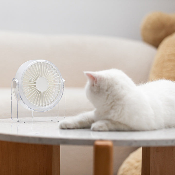 Ladies portable table fan Kalsten