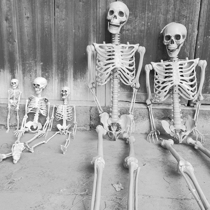 Realistic Decorative Skeleton Figures Kalsten