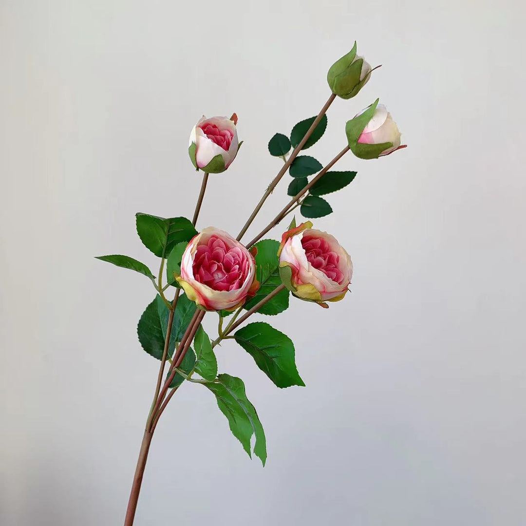 Realistic Garden Rose Stem