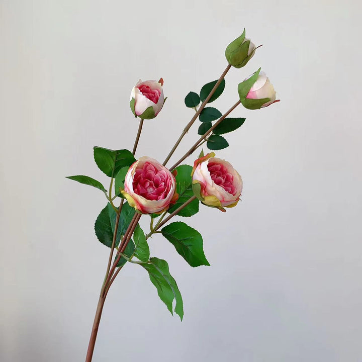 Realistic Garden Rose Stem