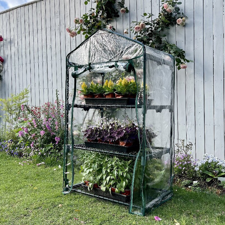 Mini Greenhouse