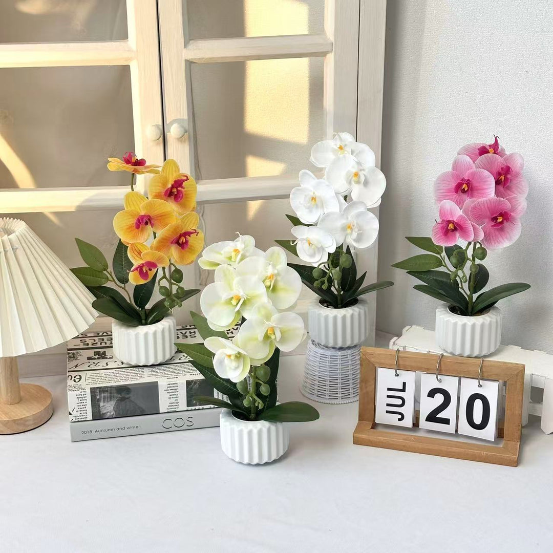 Decorative Potted Orchid for Home Decor Display