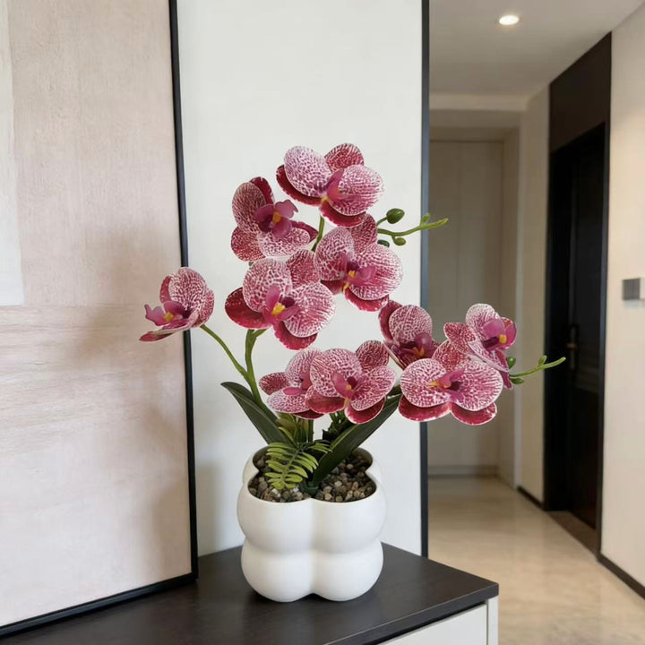Lifelike Orchid Floral Display