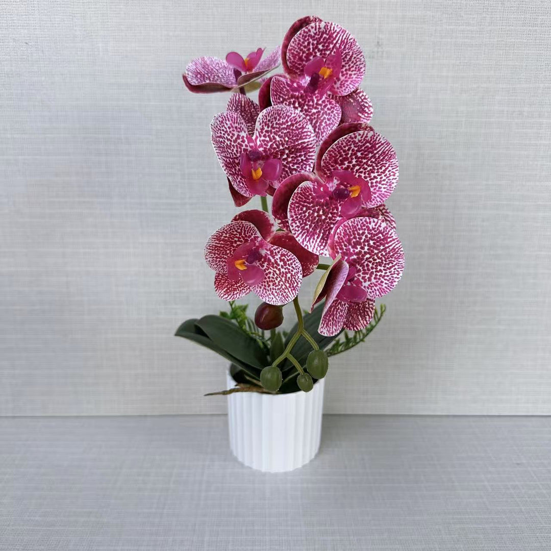 Realistic Faux Orchid Plant Arrangement