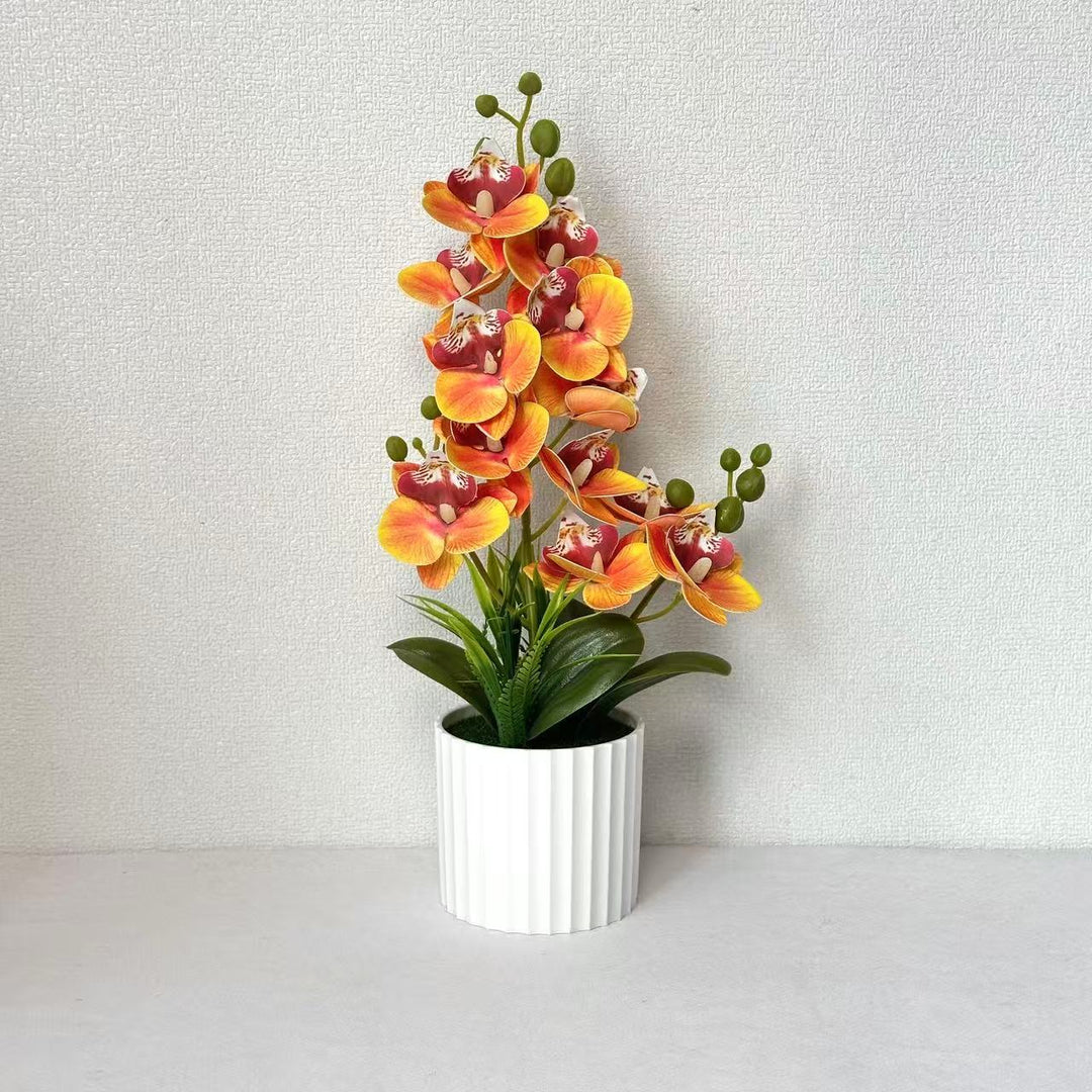 Realistic Indoor Orchid Plant Arrangement