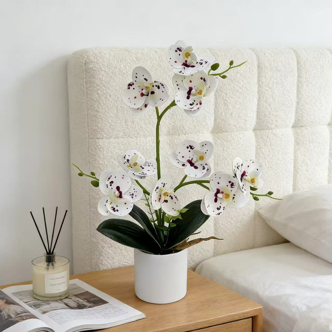 Decorative Orchid for Home Decor Display