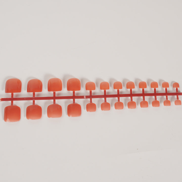 Durable Press-On Toenail Set
