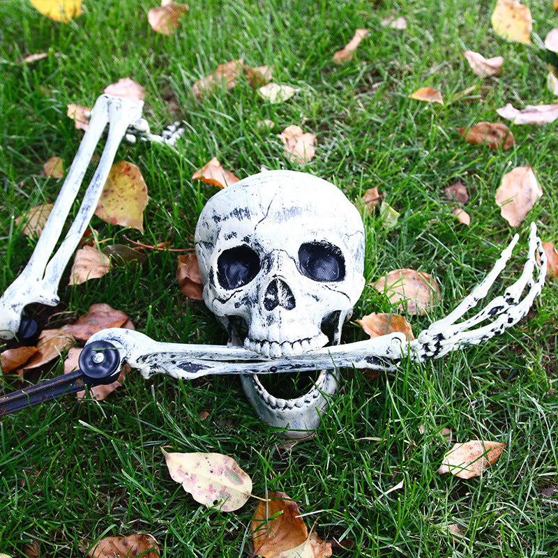Realistic Decorative Skull Prop Kalsten