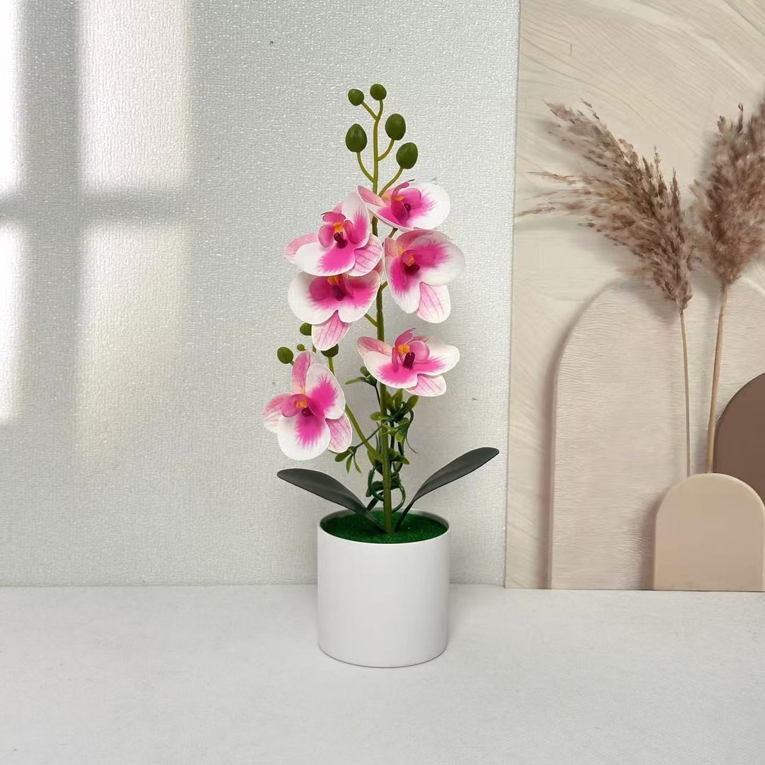 Elegant Orchid Floral Centerpiece