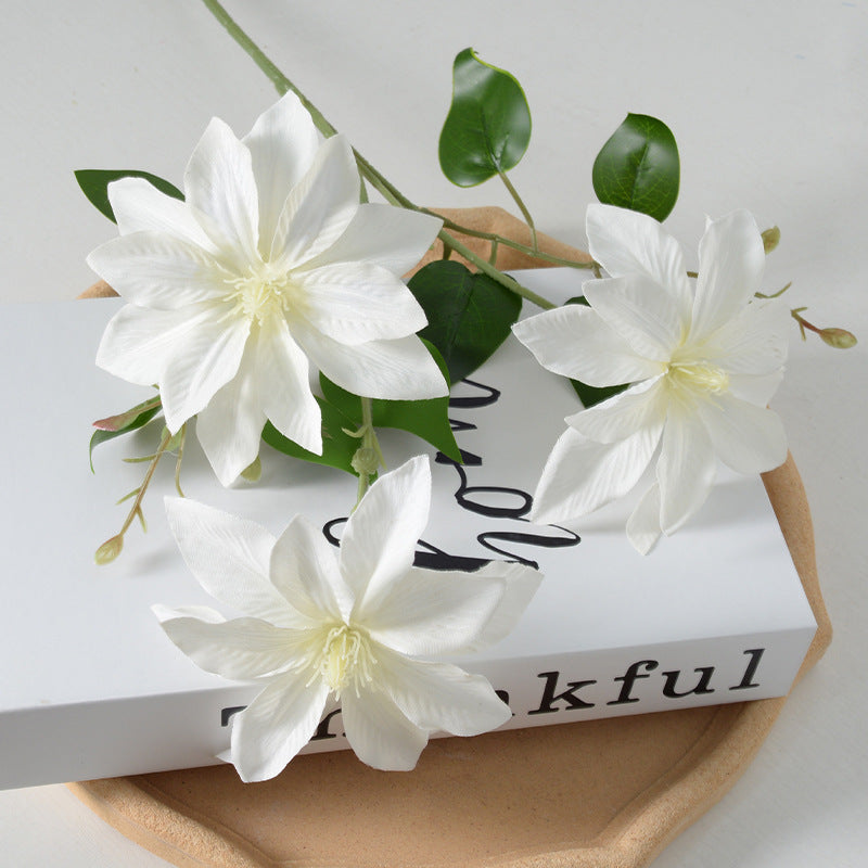 Decorative Floral Clematis Stem