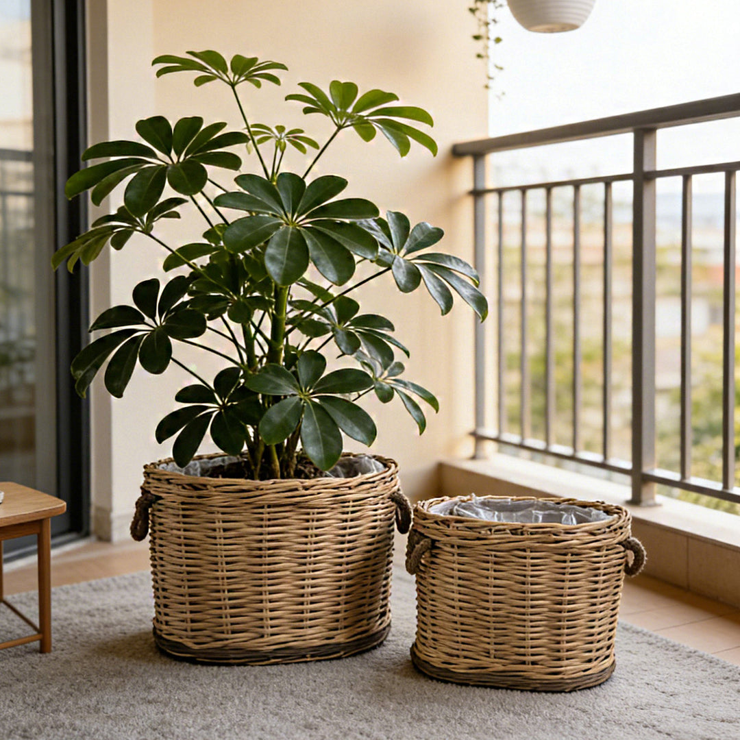Handwoven storage basket with carrying handles Kalsten