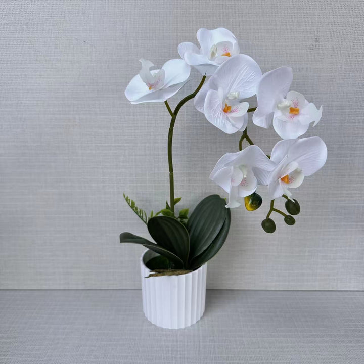 Realistic Faux Orchid Plant Arrangement