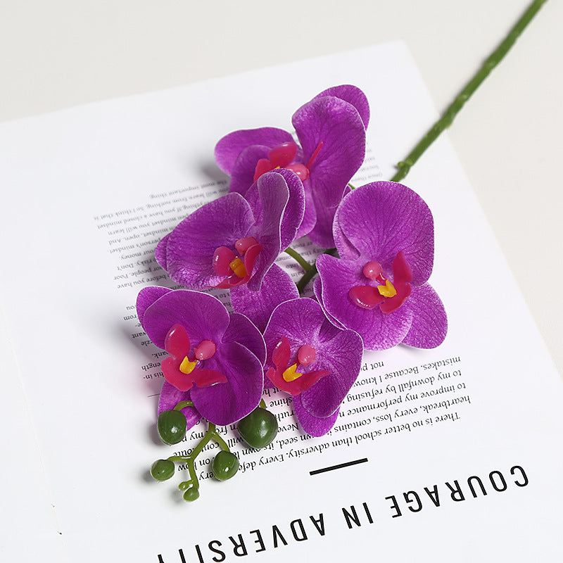 Realistic Orchid Floral Stem