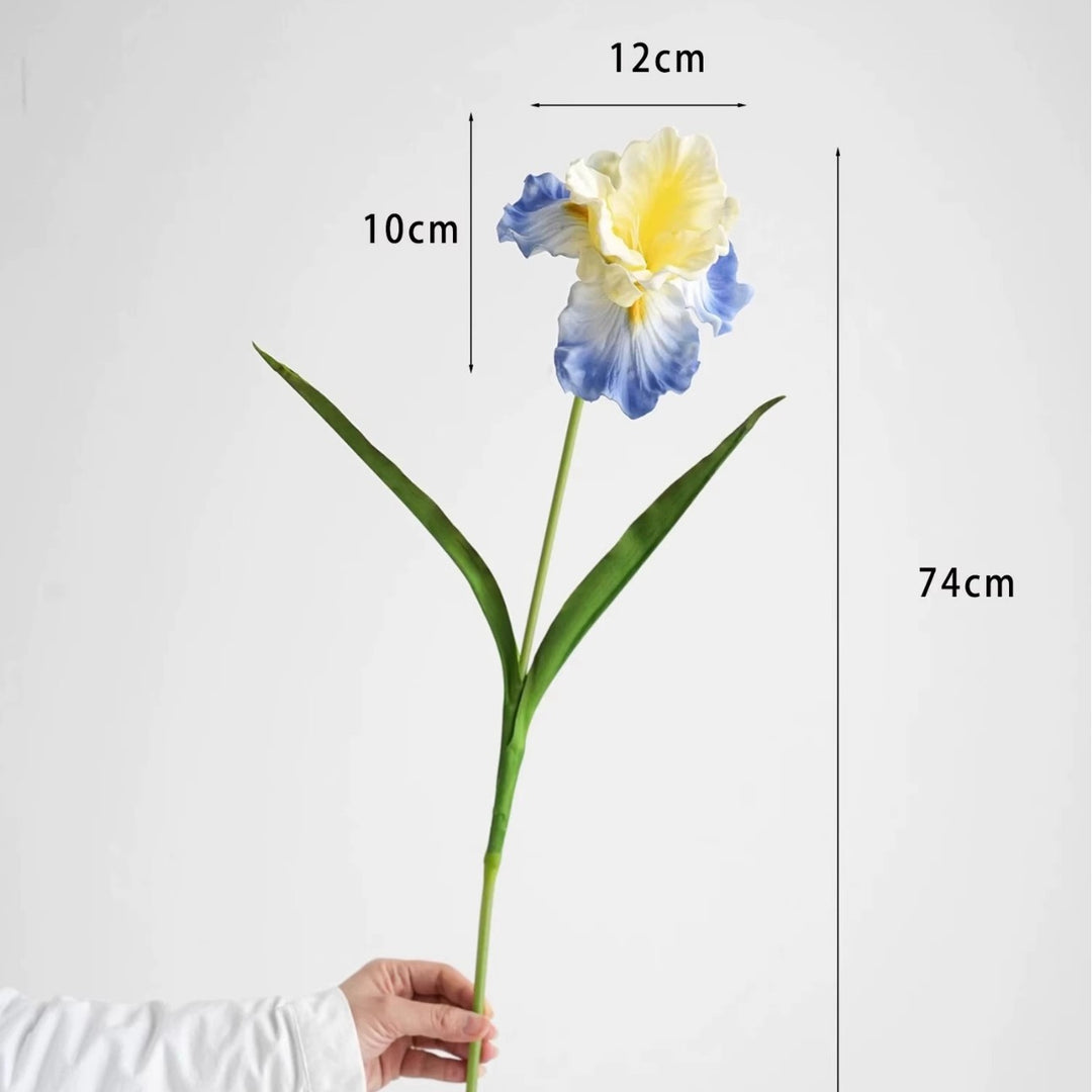 Decorative Iris Flower Stem