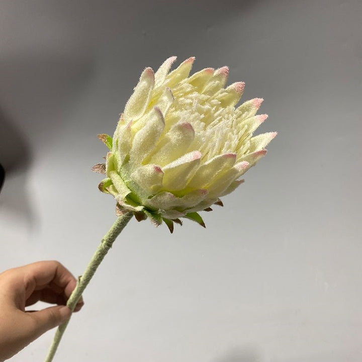 Lifelike Protea Flower Stem