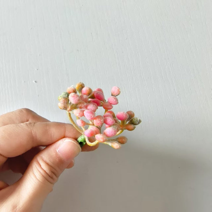 Delicate Floral Bud Stem