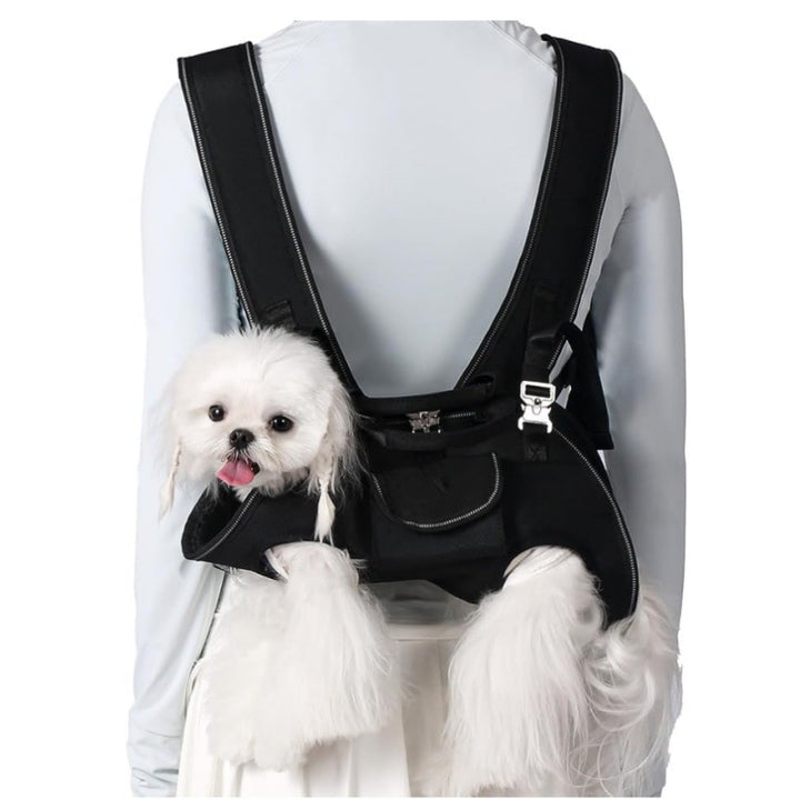 Harness for Small Dogs Kalsten