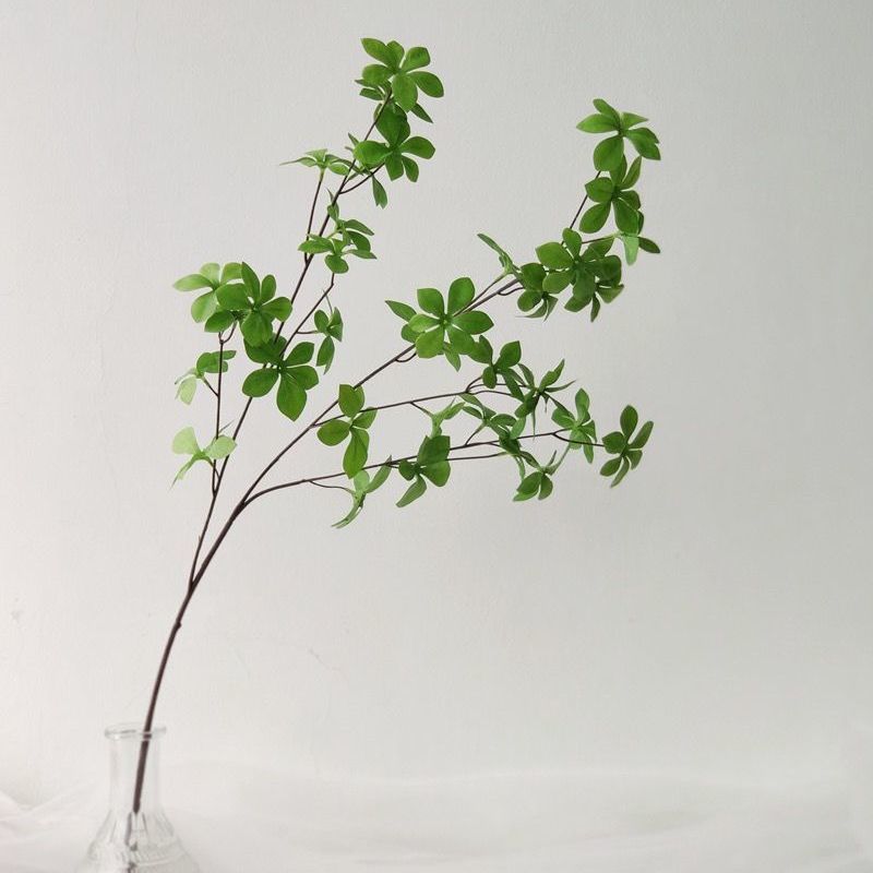 Decorative Greenery Branch Arrangement