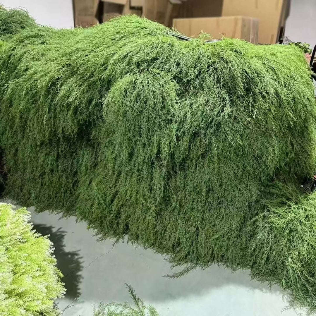 Lush Botanical Hanging Fern Decoration