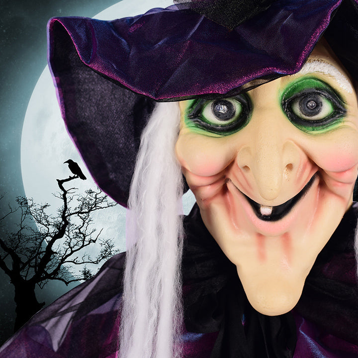 Animated Witch Decoration Kalsten