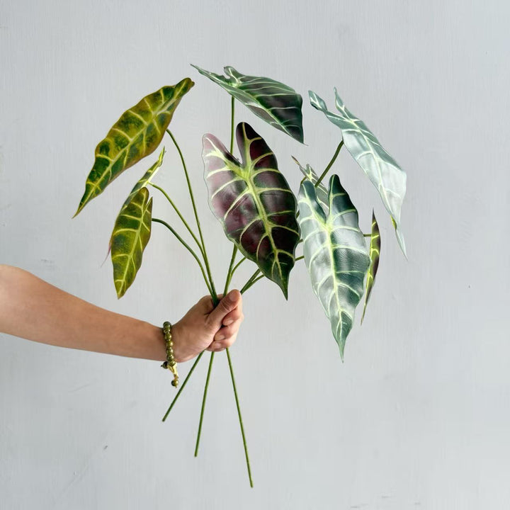 Modern Decorative Plant