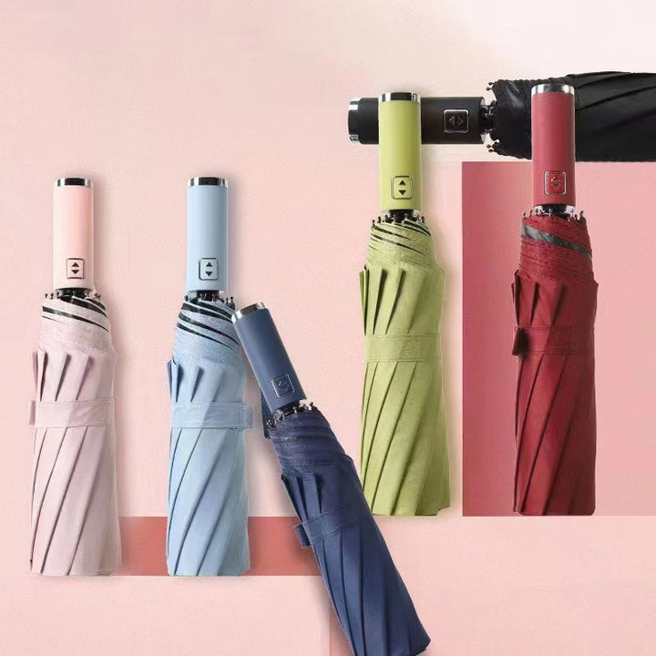 Women's Automatic Umbrella with Sturdy Plastic Handle and Robust Frame Kalsten