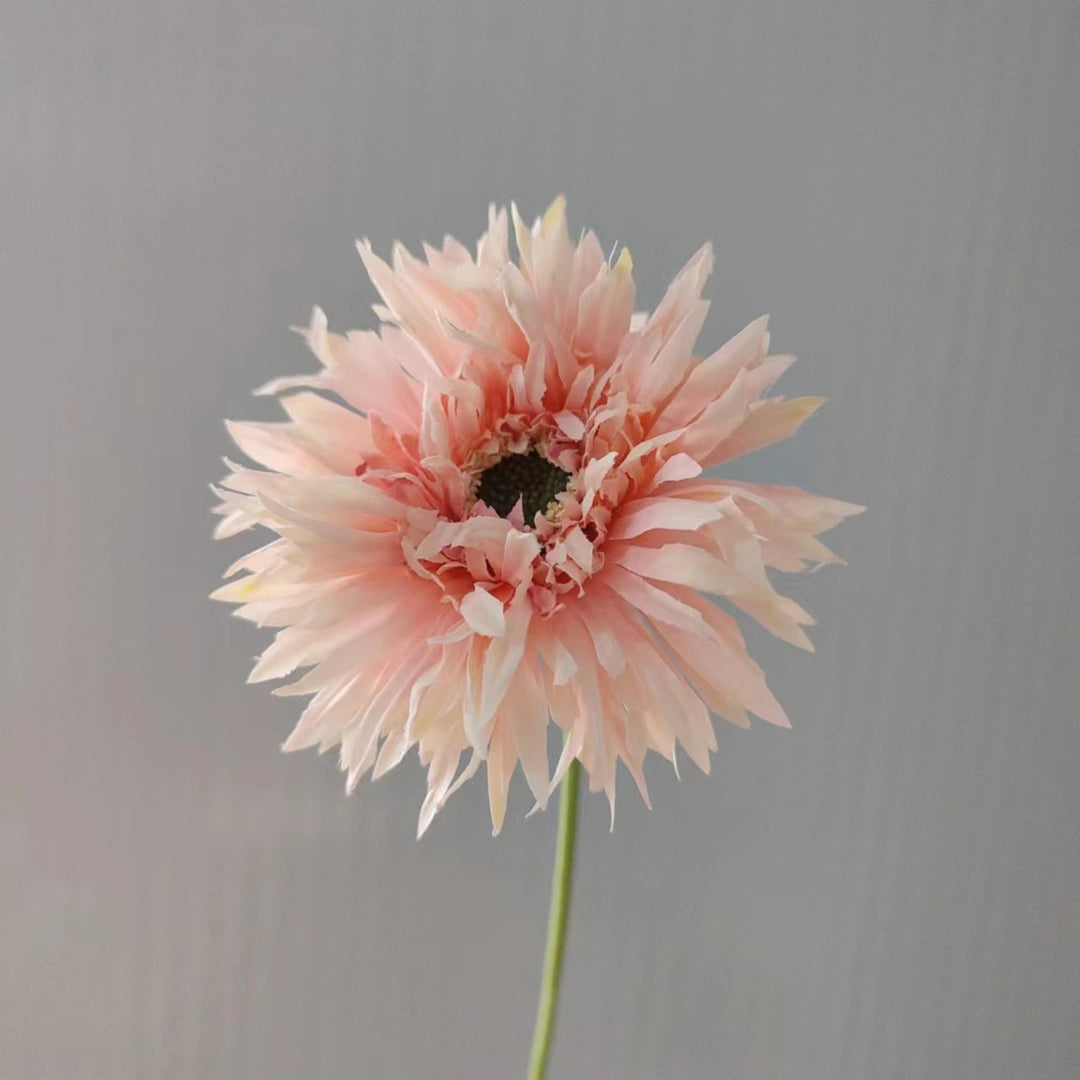 Lifelike Decorative Gerbera Flower Stem