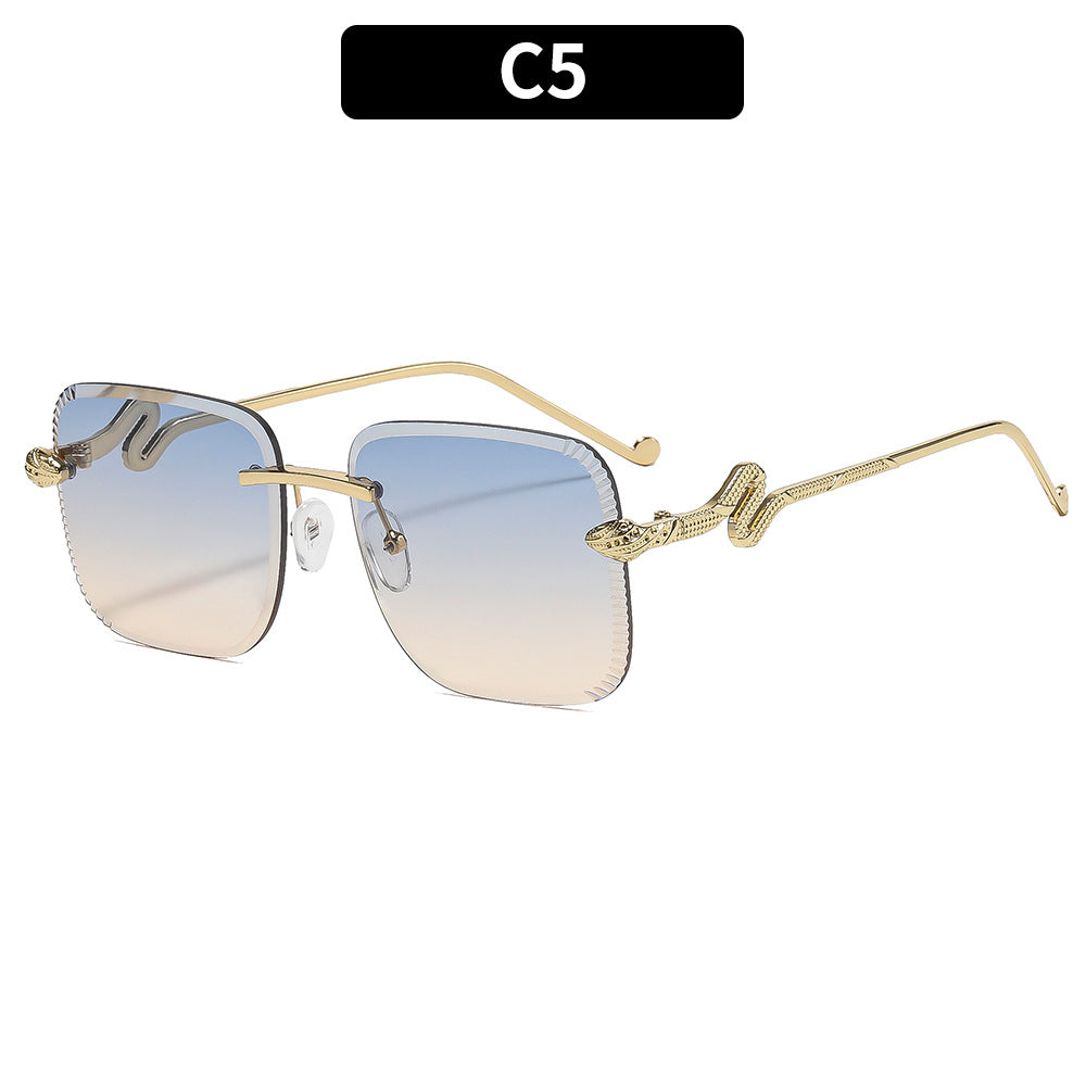 Fashionable Square Frame Sunglasses with Snake Accents