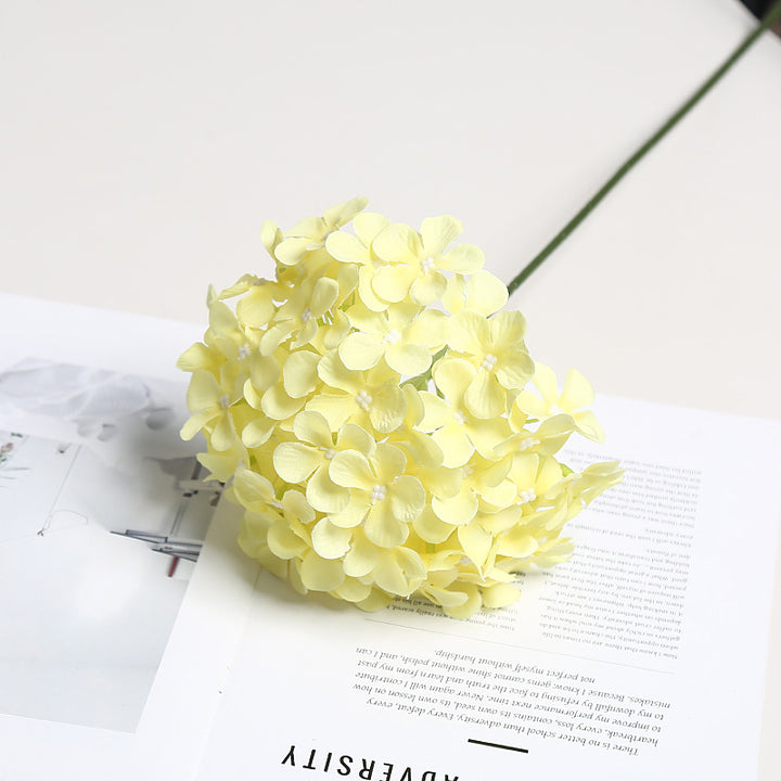 Realistic Floral Hydrangea Stem