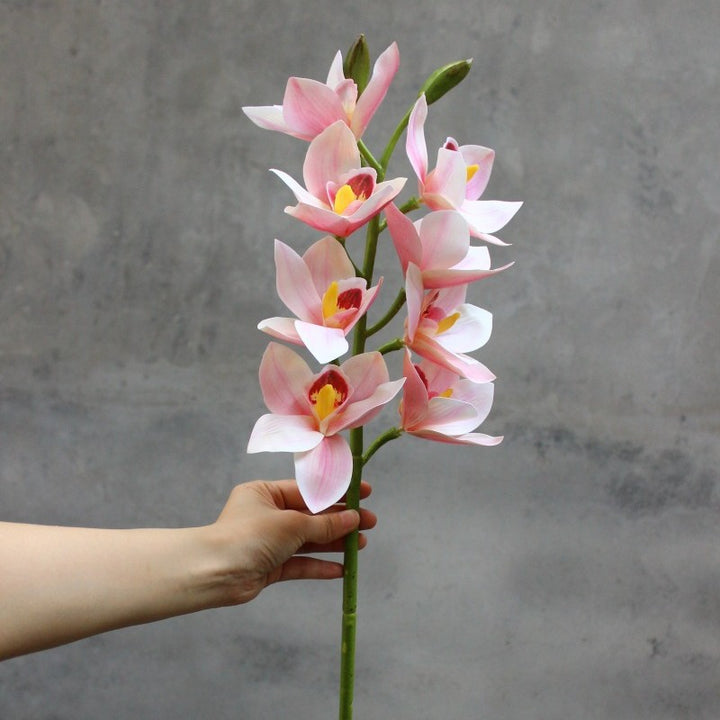 Decorative Orchid