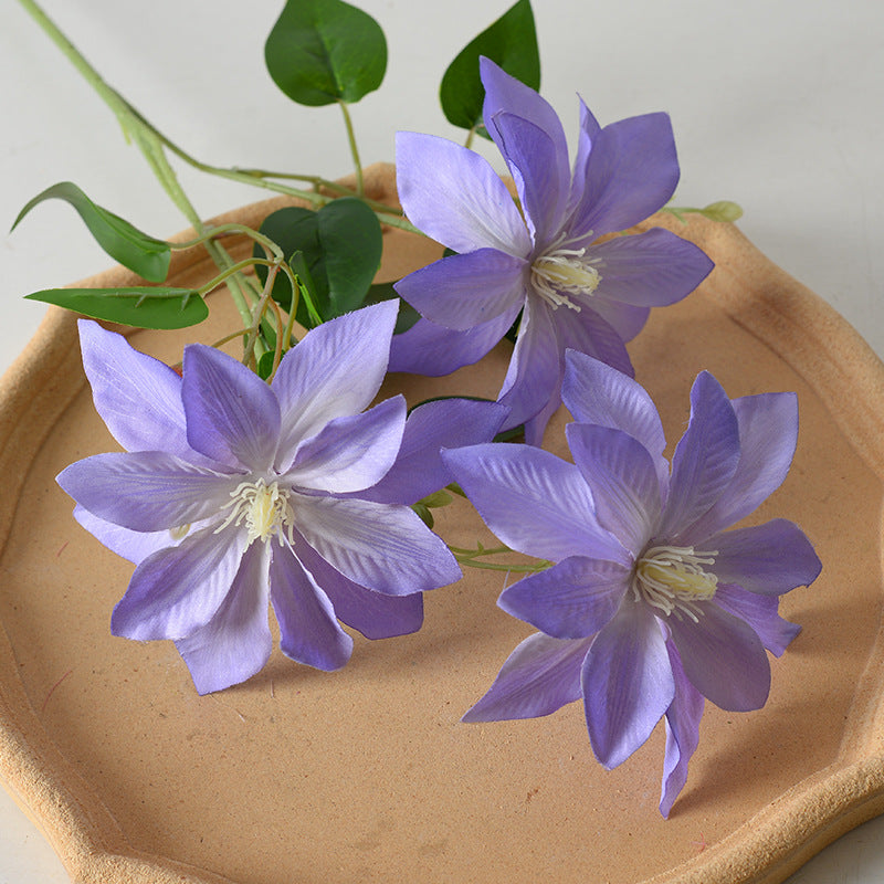 Decorative Floral Clematis Stem