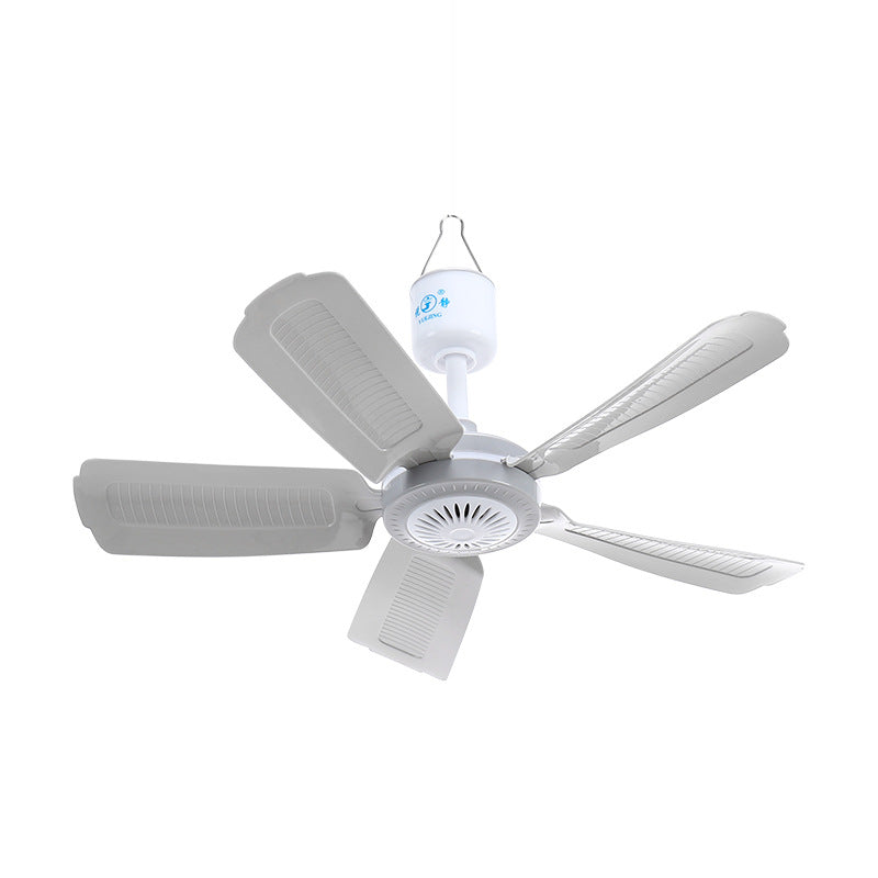 Ladies Ceiling Fan Kalsten