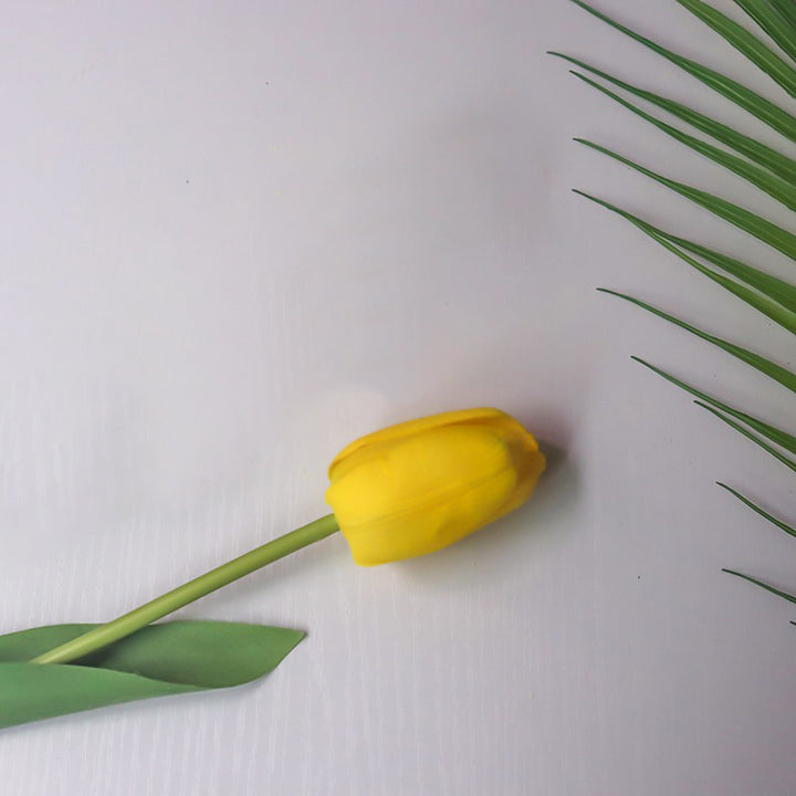 Realistic Tulip Flower Stem