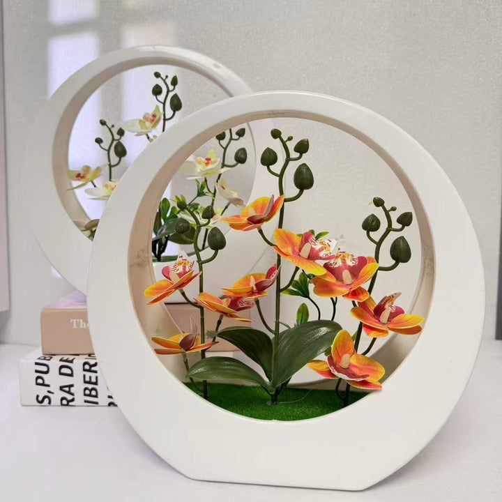 Elegant Decorative Orchid Plant Display for Home Decor