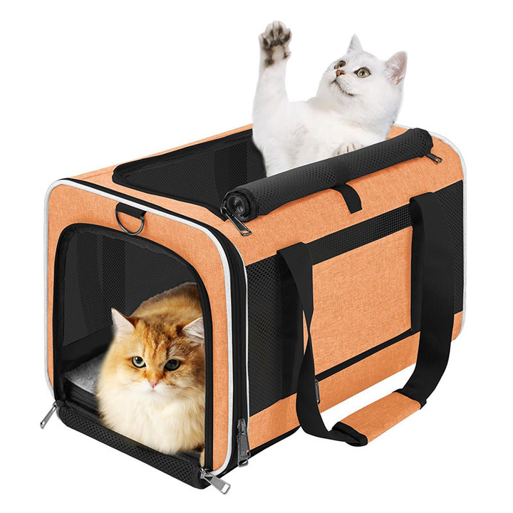 Portable Pet Travel Bag with Breathable Mesh Kalsten
