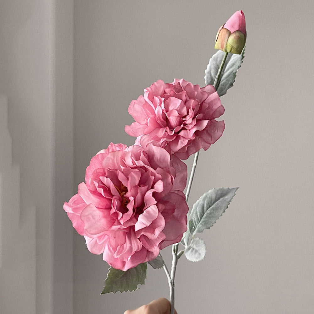 Realistic Peony Flower Stem