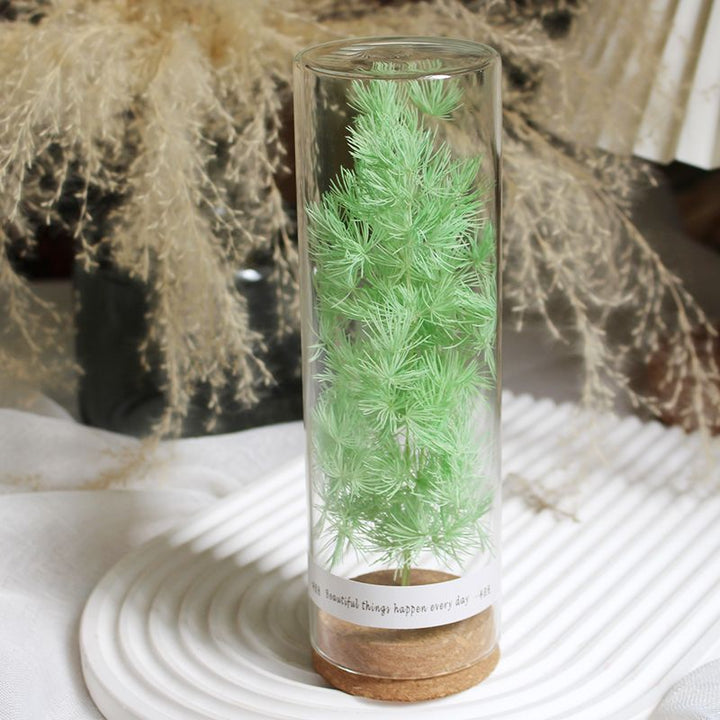 Preserved Flower Display in Elegant Glass Cylinder