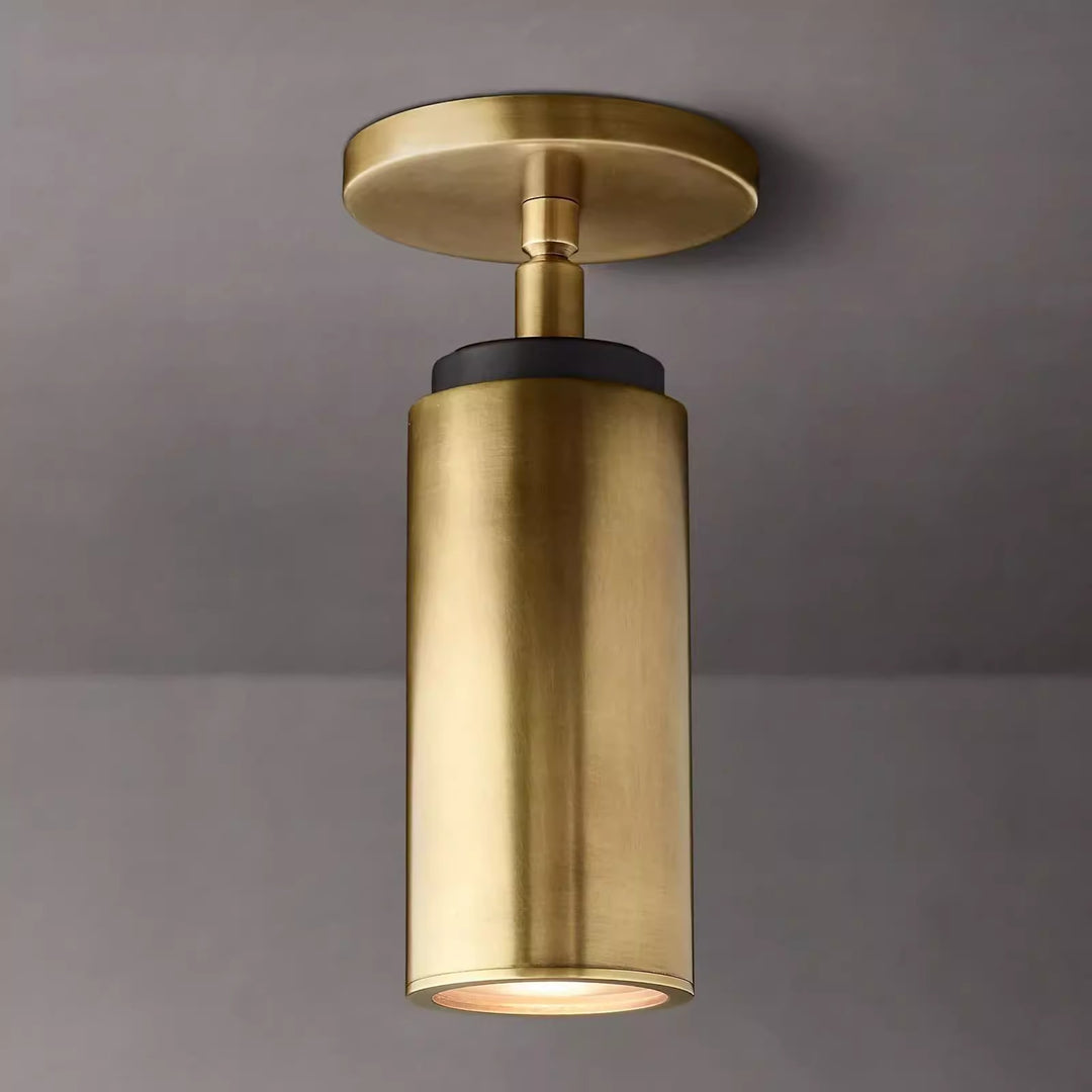Modern Ceiling Light Fixture
