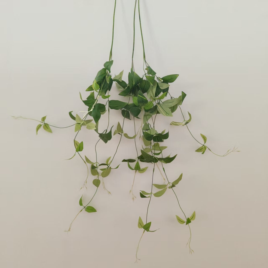 Lifelike Trailing Vine Plant