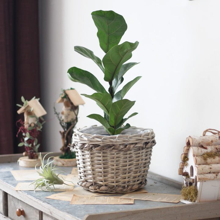 Rustic storage basket made of natural material Kalsten