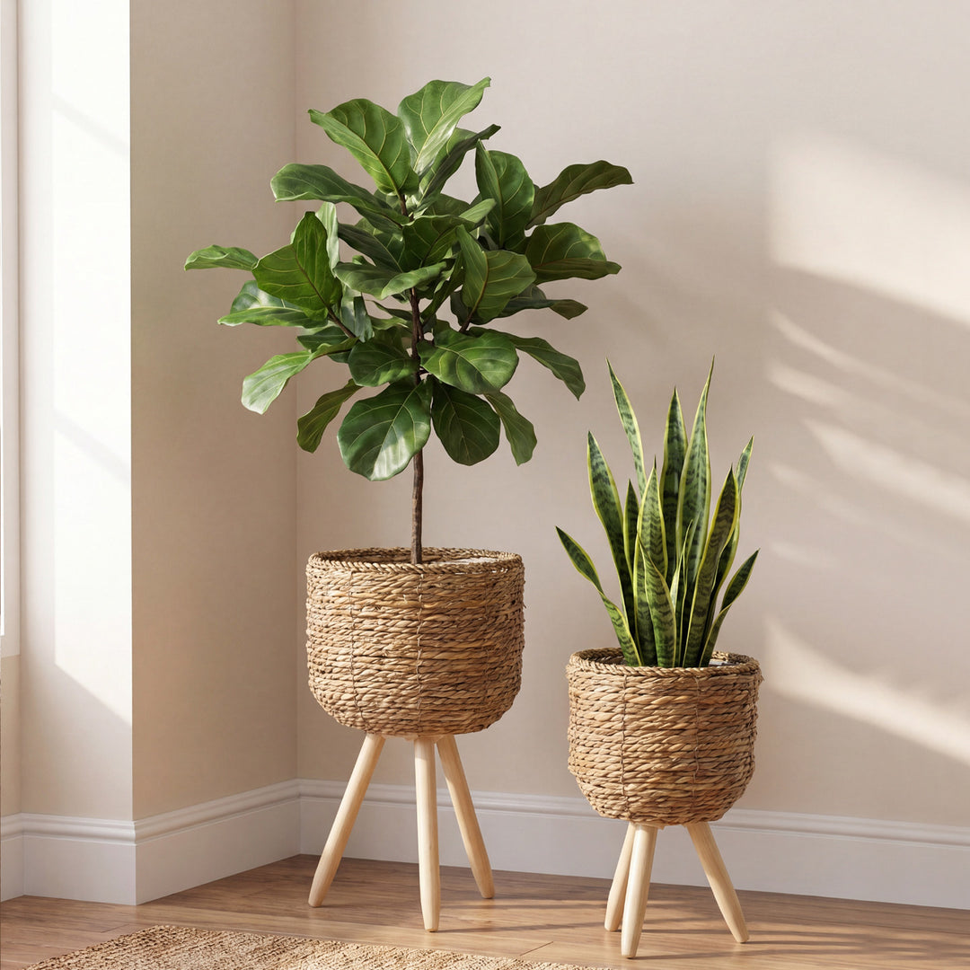 Kalsten Planter
