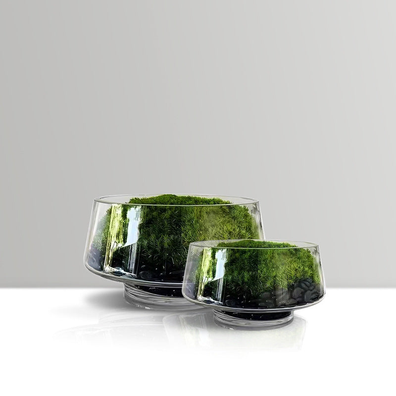 Decorative Terrarium