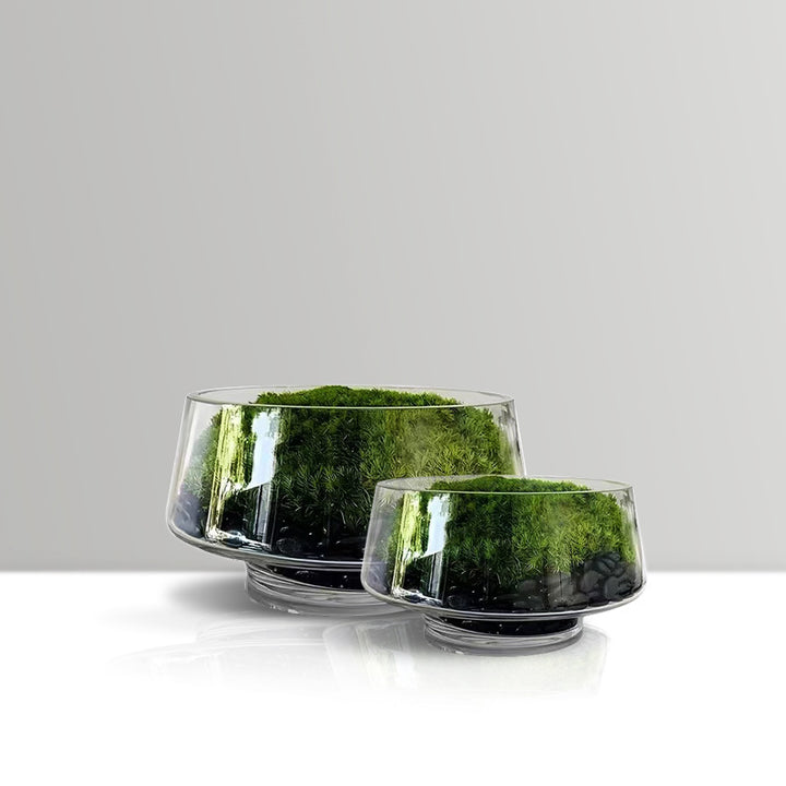 Decorative Terrarium